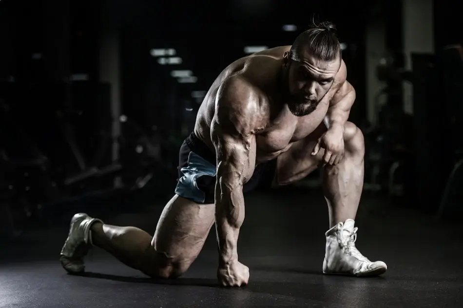 The Bridge Between Steroid Cycles The Bridge Between Steroid Cycles