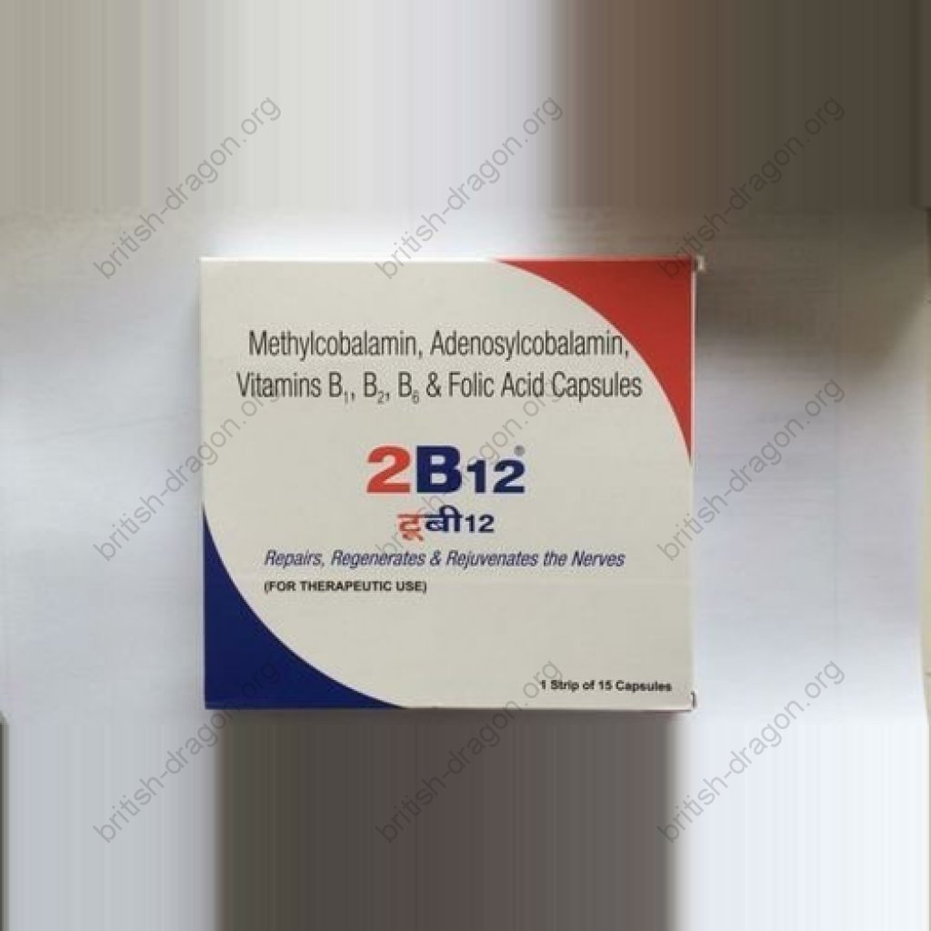 2B12 2B12