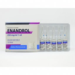 Enandrol - Testosterone Enanthate - Balkan Pharmaceuticals Enandrol - Testosterone Enanthate - Balkan Pharmaceuticals