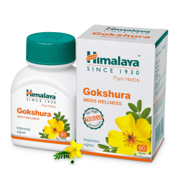 Gokshura - Tribulus terrestris fruit - Himalaya, India