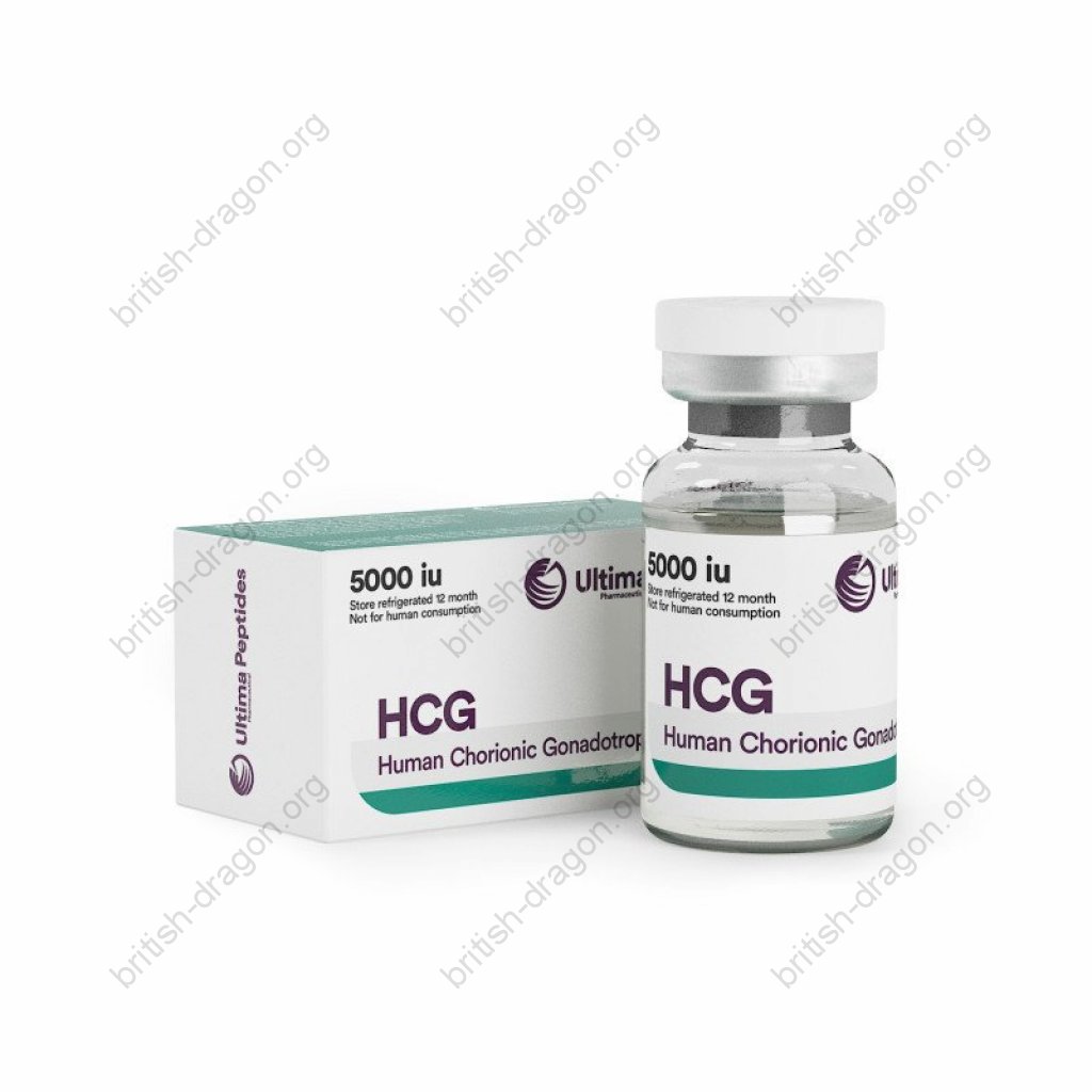 Gonadotropin 5000 IU - Human Chorionic Gonadotropin - BodyPharm Gonadotropin 5000 IU - Human Chorionic Gonadotropin - BodyPharm