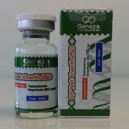 GP Test Enanth 250 - Testosterone Enanthate - Geneza Pharmaceuticals GP Test Enanth 250 - Testosterone Enanthate - Geneza Pharmaceuticals