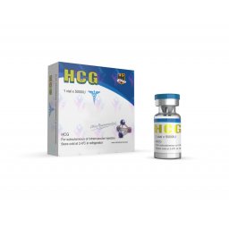 HCG 5000 IU - Human Chorionic Gonadotrophin - Odin Pharma HCG 5000 IU - Human Chorionic Gonadotrophin - Odin Pharma