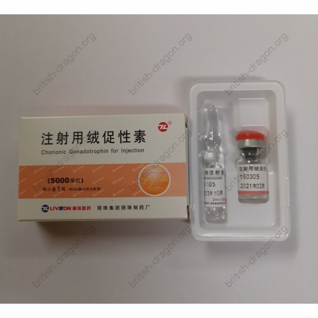 HCG 5000 IU - Human Chorionic Gonadotropin - Dragon Pharma, Europe HCG 5000 IU - Human Chorionic Gonadotropin - Dragon Pharma, Europe