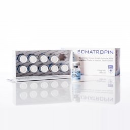 Somatropin Powder 10 IU - Recombinant Human Growth Hormone - Hilma Biocare Somatropin Powder 10 IU - Recombinant Human Growth Hormone - Hilma Biocare