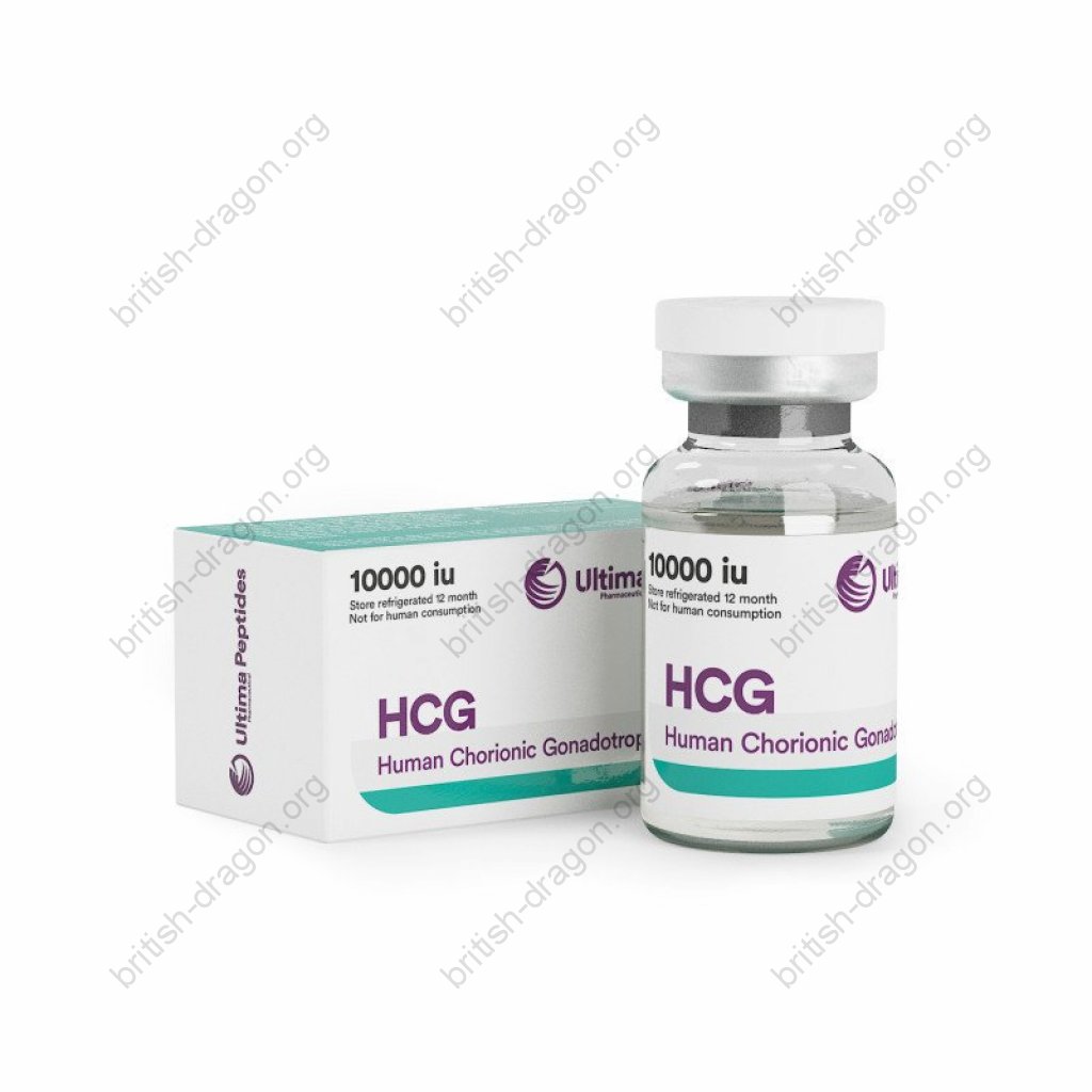 SP Gonadotropin 1000 IU - Human Chorionic Gonadotropin - SP Laboratories SP Gonadotropin 1000 IU - Human Chorionic Gonadotropin - SP Laboratories