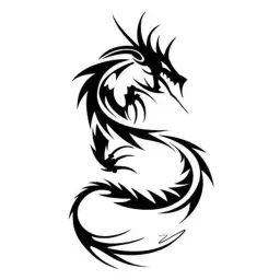 Speed / Strenght Cycle