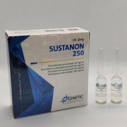https://clubgti.com/pages/los-anabolizantes-en-el-culturismo.html: La forma fácil