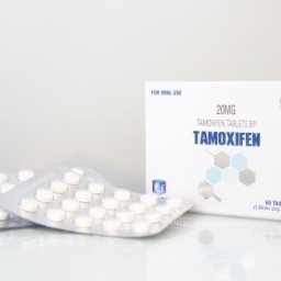 Tamoxifen - Tamoxifen Citrate - Ice Pharmaceuticals Tamoxifen - Tamoxifen Citrate - Ice Pharmaceuticals