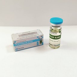 Testorox E250 - Testosterone Enanthate - Zerox Pharmaceuticals Testorox E250 - Testosterone Enanthate - Zerox Pharmaceuticals