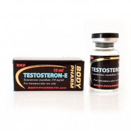 Testosteron-E - Testosterone Enanthate - BodyPharm Testosteron-E - Testosterone Enanthate - BodyPharm