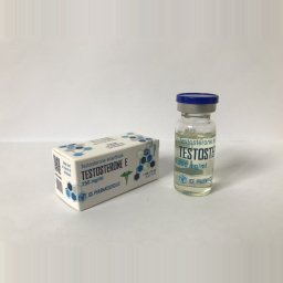 Testosterone E - Testosterone Enanthate - Ice Pharmaceuticals Testosterone E - Testosterone Enanthate - Ice Pharmaceuticals