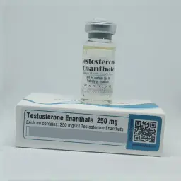 Testosterone Enanthate 250 mg