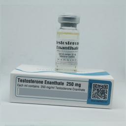 Testosterone Enanthate 250 mg