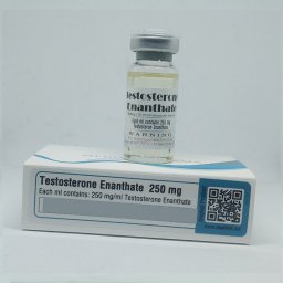 Testosterone Enanthate 250 mg