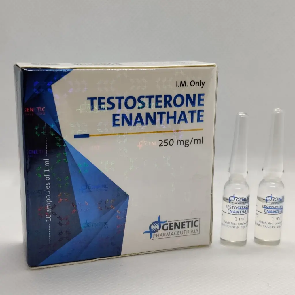 Buy Testosterone Enanthate USA Legit Testosterone Enanthate