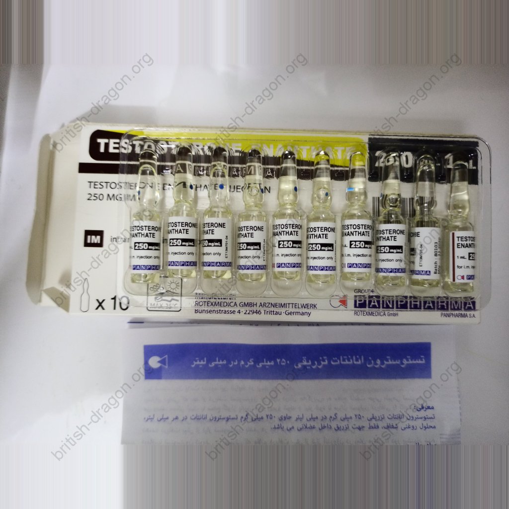 Testosterone Enanthate Testosterone Enanthate