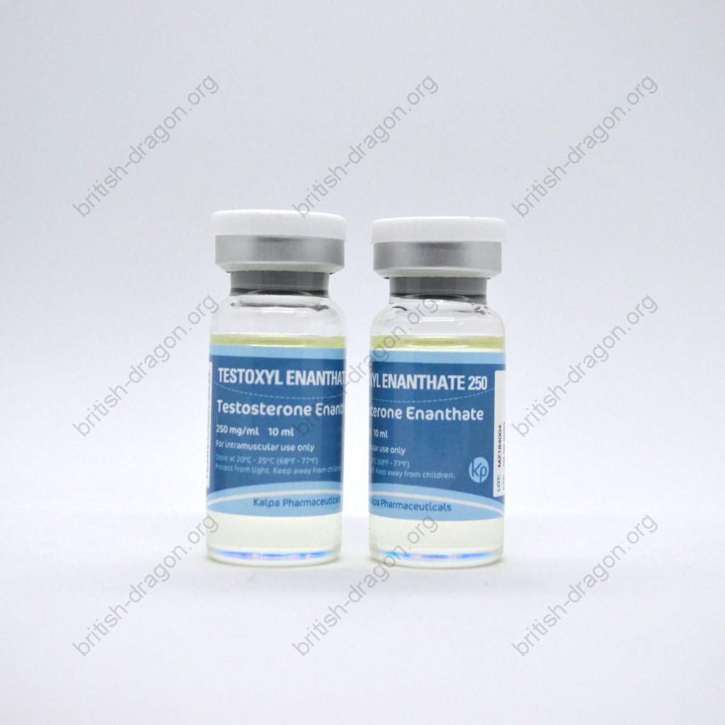Testoxyl Enanthate 250 Testoxyl Enanthate 250