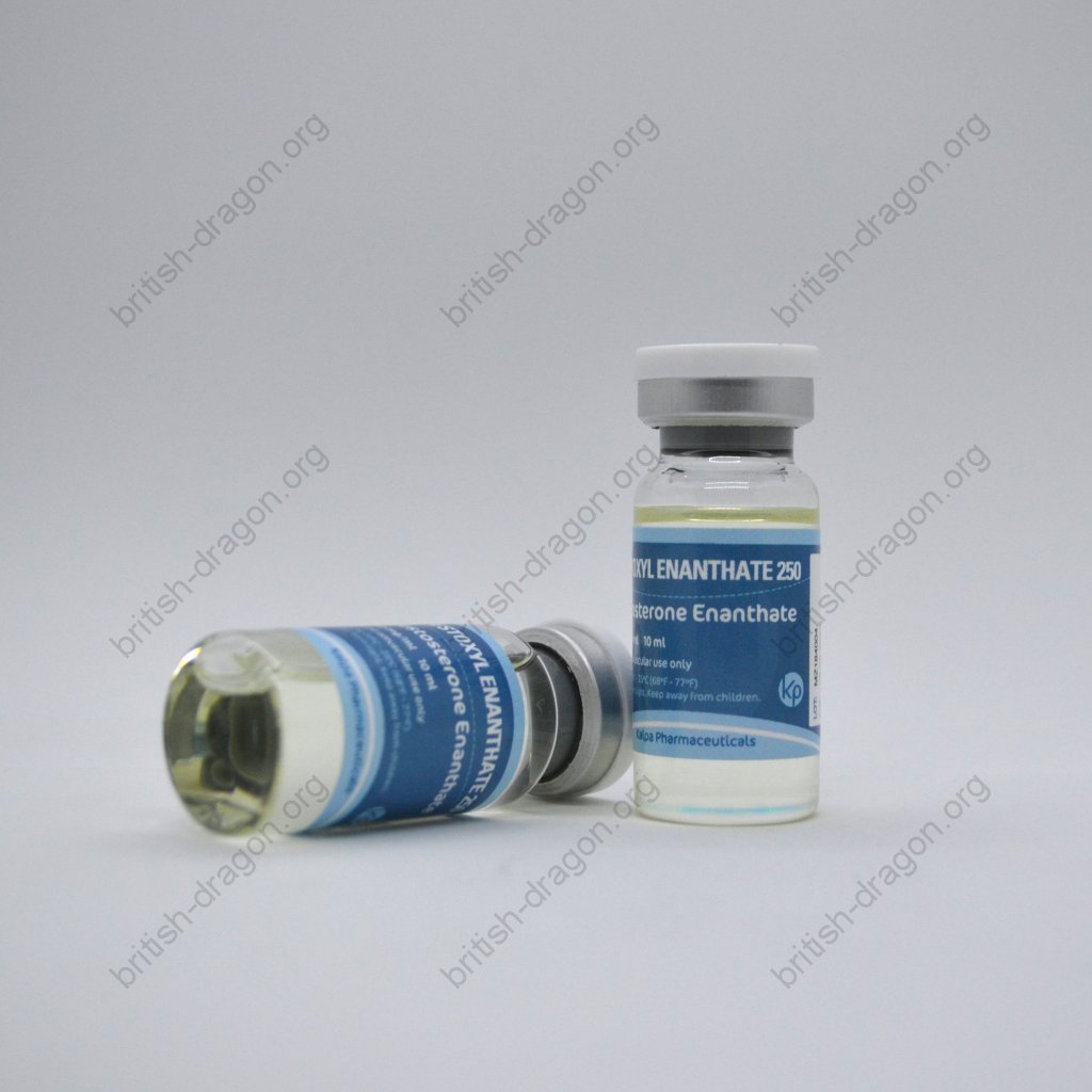 Testoxyl Enanthate 250 Testoxyl Enanthate 250