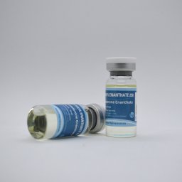 Testoxyl Enanthate 250