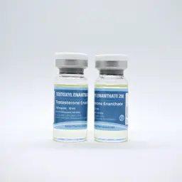 Testoxyl Enanthate 250 mg