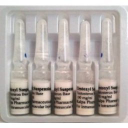 Testoxyl Suspension 100 - Testosterone Suspension - Kalpa Pharmaceuticals LTD, India Testoxyl Suspension 100 - Testosterone Suspension - Kalpa Pharmaceuticals LTD, India