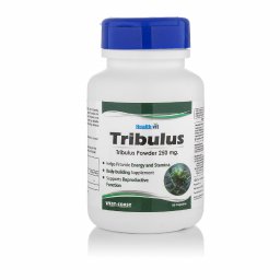 Tribulus - - Central Pharm. Factory, Vietnam Tribulus - - Central Pharm. Factory, Vietnam
